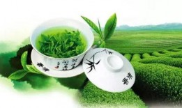 姐弟吃瓜小绿茶,揭秘小绿茶背后的真相与争议