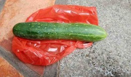 吃不动瓜,探寻消暑美食新风尚