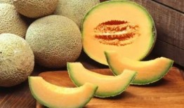 哈密瓜和莲雾能一起吃吗,探索两者同食的奥秘