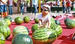 王吃瓜,揭秘娱乐圈幕后故事