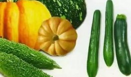 悍瓜怎么吃,解锁夏日清新美味新体验