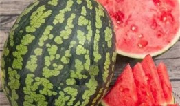 吃大瓜网,吃大瓜网带你领略明星幕后故事