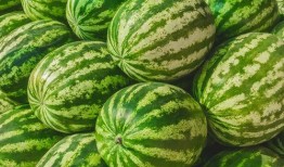 吃瓜的大橘,揭秘娱乐圈幕后风云