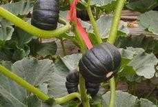 吃瓜南和,揭秘娱乐圈背后的那些事儿