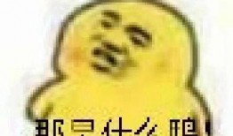 表情吃瓜怎么回,揭秘网络社交中的趣味互动