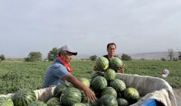 兰州老街抖音吃瓜,探寻地道美食背后的故事
