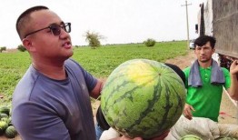 狂飙最新吃瓜,揭秘娱乐圈最新吃瓜事件，真相令人震惊！