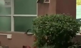 新乡最新吃瓜新闻,最新吃瓜新闻揭秘，事件背后真相令人咋舌！”