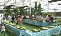 吃瓜嘉兴学院,吃瓜群众眼中的校园风云录