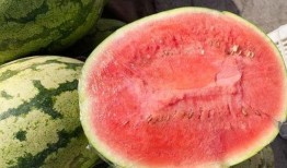 自然熟老瓜怎么吃,自然熟老瓜的多样食法探索