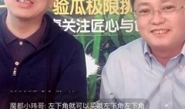 600直播吃瓜,揭秘娱乐圈吃瓜盛宴背后的真相