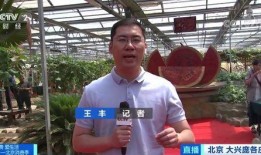 带你吃瓜记者,揭秘带你吃瓜记者背后的故事