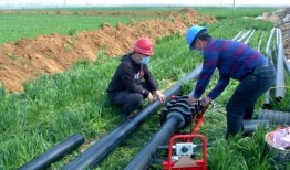 邹城田庄吃瓜,夏日里的“吃瓜”盛宴，感受乡村田园生活