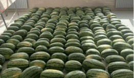 新乡最新吃瓜新闻,最新吃瓜新闻揭秘，事件背后真相令人咋舌！”