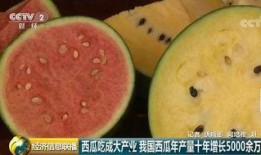 世界最大的吃瓜网站,热点追踪，舆情风向标