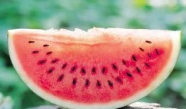 西瓜摔碎后坐路边吃瓜,西瓜摔碎后的意外美食之旅