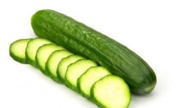 淡瓜减肥可以吃吗,健康美味两不误的减肥选择