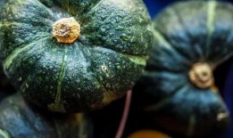 吃瓜铁岭,揭秘这座东北城市的独特魅力