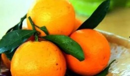 沐橙吃瓜,揭秘娱乐圈幕后故事