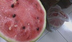 纸瓜怎么吃,探索传统美食的新境界