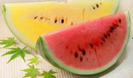 吃高端瓜财经,揭秘财经圈幕后故事与热点动态