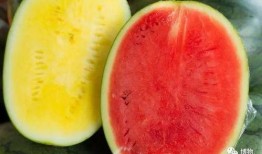 吃高端瓜财经,揭秘财经圈幕后故事与热点动态