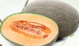 蜜瓜和哈密瓜榨汁搭配吃,甘甜双享——蜜瓜哈密瓜榨汁搭配新体验