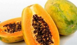 梦见和前夫吃瓜,与前夫共品瓜果的温馨回忆