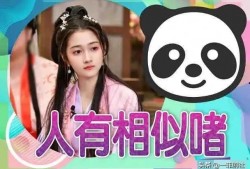 娱乐吃瓜真实爆料小说,揭秘那些不为人知的真实爆料