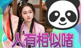 娱乐吃瓜真实爆料小说,揭秘那些不为人知的真实爆料