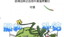 吃瓜群众听故事,那些年我们听过的故事