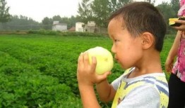 山西吃瓜协会,品味地方特色，传承民间美食文化