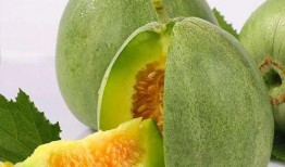 大脆瓜怎么吃,解锁清新口感新境界