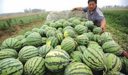 农民吃瓜馒头视频,农民创意美食走红网络