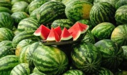 今年吃的几个瓜,笑料百出，泪点满满