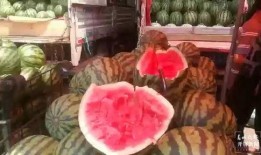 城市里吃瓜群众,揭秘都市生活百态