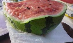 纸瓜怎么吃,探索传统美食的新境界