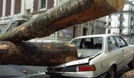 奇葩车祸现场吃瓜