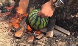 吃鸡不如吃瓜,全民瓜田乐翻天