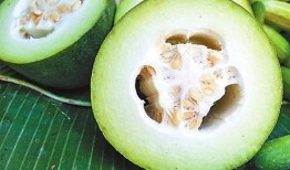 吃瓜铁岭,揭秘这座东北城市的独特魅力