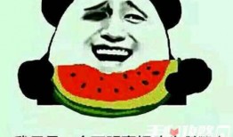 吃界首的瓜什么梗,揭秘吃界首瓜的神秘魅力