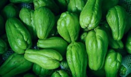 瓜耳怎么吃,解锁瓜耳的多彩吃法