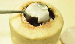 吃椰壳的瓜,探寻热带风情中的独特美食之旅