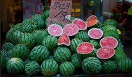 吃瓜大设计,揭秘网络时代下的娱乐狂欢与社交新趋势