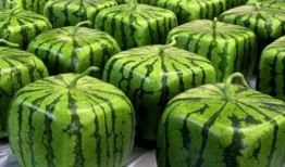 哪里吃瓜的人多,揭秘哪里吃瓜群众最密集