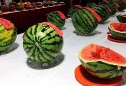 评比吃瓜,盘点那些让人捧腹大笑的瓜界风云