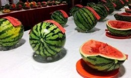 评比吃瓜,盘点那些让人捧腹大笑的瓜界风云