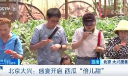 带你吃瓜记者,揭秘带你吃瓜记者背后的故事