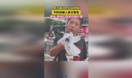 小伙在线吃瓜视频,小伙在线吃瓜，揭秘网络吃瓜文化新潮流