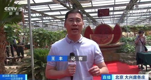 带你吃瓜记者,揭秘带你吃瓜记者背后的故事